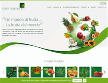 Tablet Screenshot of natexingredients.it